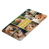 6 Foto-collage U bent mijn Funshine | Goud Pet Magneet (Linkerzijde)