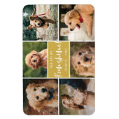 6 Foto-collage U bent mijn Funshine | Goud Pet Magneet (Verticaal)