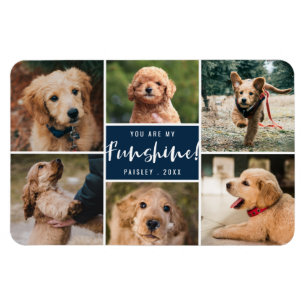 6 Foto-collage U bent mijn Funshine   Navy Pet Magneet