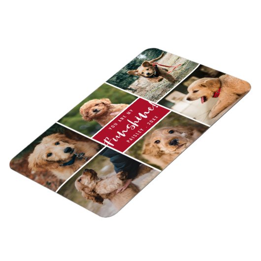 6 Foto-collage U bent mijn Funshine | Rode pet Magneet (Linkerzijde)