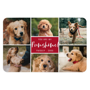 6 Foto-collage U bent mijn Funshine   Rode pet Magneet