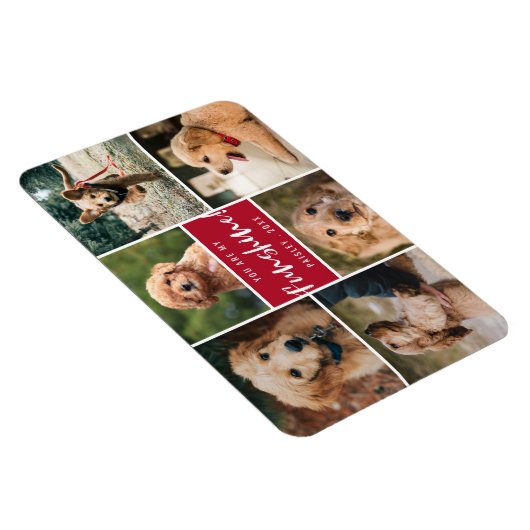 6 Foto-collage U bent mijn Funshine | Rode pet Magneet (Rechterzijde)