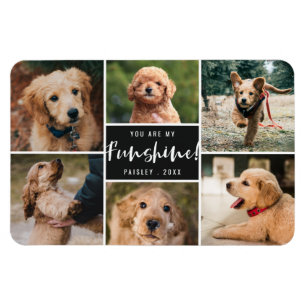 6 Foto-collage U bent mijn Funshine Zwarte Pet Magneet