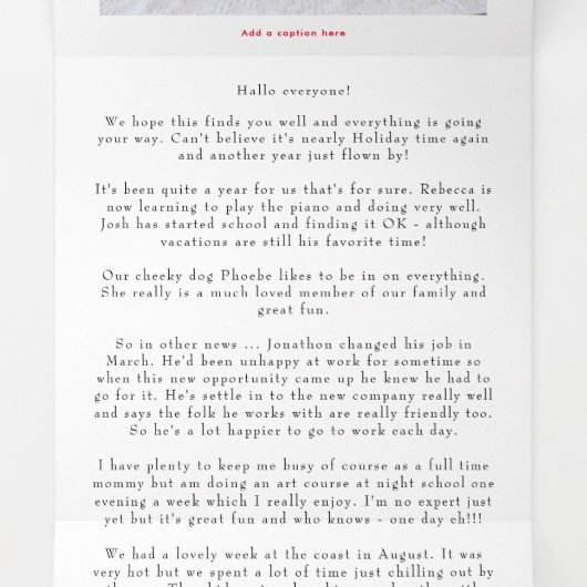 6 Foto jaar in Uitzicht feestelijke nieuwsbrief vi Drieluik Wenskaart (Binnenkant midden)