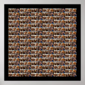 6 foto verspreid over patroon poster (Voorkant)