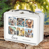 6 fotocollage of leuke honden