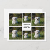 6 Fotocollage – White Grid esthetisch, minimaal Briefkaart (Voorkant / Achterkant)