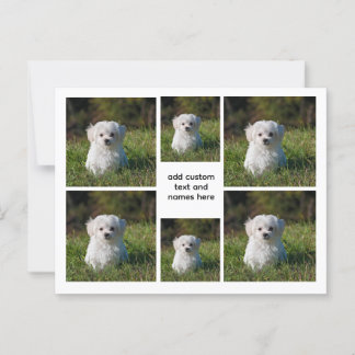 6 Fotocollage – White Grid esthetisch, minimaal Briefkaart