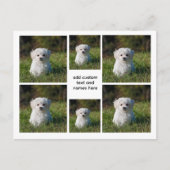 6 Fotocollage – White Grid esthetisch, minimaal Briefkaart (Voorkant)