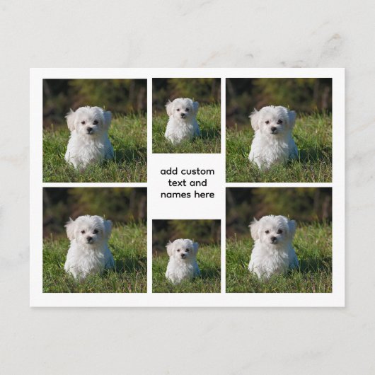 6 Fotocollage – White Grid esthetisch, minimaal Briefkaart (Voorkant)