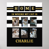 6 foto's naam dierenvriend katten zwart wit folie afdrukken (Voorkant)