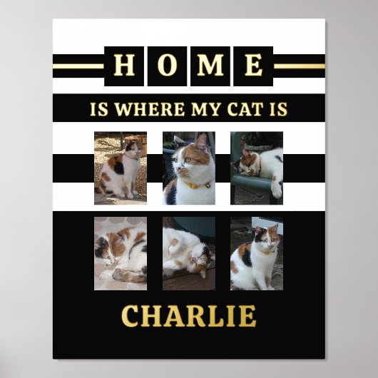 6 foto's naam dierenvriend katten zwart wit folie afdrukken (Voorkant)