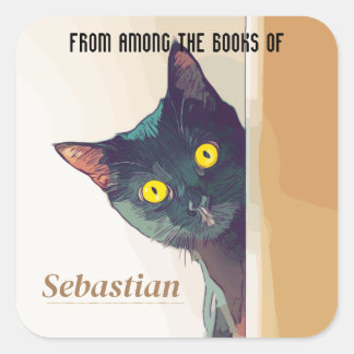 6 Gepersonaliseerde Boekplaat/Naamplaat met Katten Vierkante Sticker