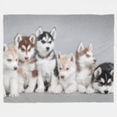 6 HUSKY PUPPIES FLEECE DEKEN (Voorkant (Horizontaal))