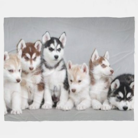 6 HUSKY PUPPIES FLEECE DEKEN (Voorkant (Horizontaal))