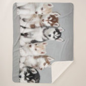 6 HUSKY-PUPPIES SHERPA DEKEN (Voorkant)