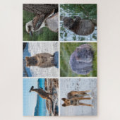 6-in-1-Dieren uit Australië, 1014 stuks Legpuzzel (Verticaal)