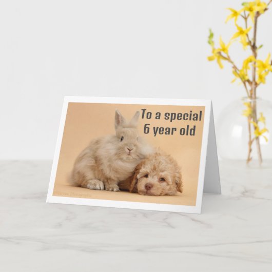 ** 6 JAAR OUDE MEISDAG* KAART (Gele Bloem)