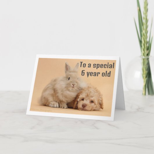 ** 6 JAAR OUDE MEISDAG* KAART (Voorkant)