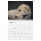 6 Kalender voor Silken Windhound-Puppies 2016 (Feb 2027)