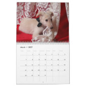 6 Kalender voor Silken Windhound-Puppies 2016 (Mar 2027)