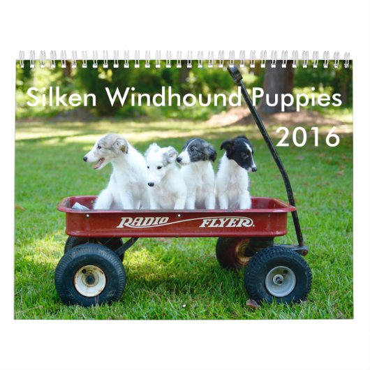 6 Kalender voor Silken Windhound-Puppies 2016 (Hoes)