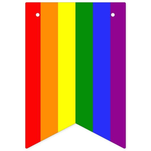 6-kleuren Pride vlag Bunting Banner LGBT Party (Tweede vlag)