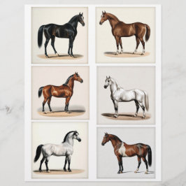6 Mooie Paard Illustraties voor Papercrafting