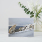 6 nov. briefkaart (Staand voorkant)