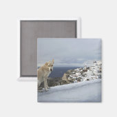 6 nov. magneet (Voorkant / Achterkant)