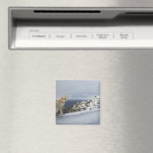 6 nov. magneet (Insitu (Vaatwasser))