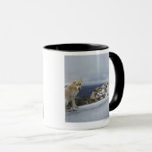 6 nov. mok (Voorkant rechts)