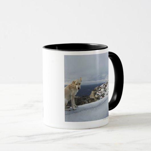 6 nov. mok (Voorkant rechts)