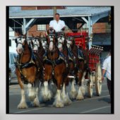 6 paardenliften poster (Voorkant)
