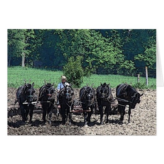 6 Prachtige conceptpaarden op het werk, alle geleg (Voorkant Horizontaal)