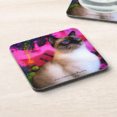 6 Siamese harde onderzetters met kurk achterzijde (Linkerzijde)