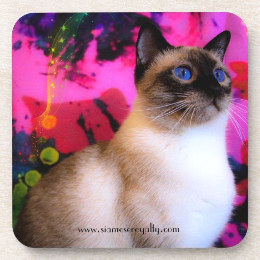 6 Siamese harde onderzetters met kurk achterzijde (Voorkant)