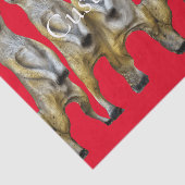 6 Staande Meerkats Thunder_Cove Tissuepapier (Detail)