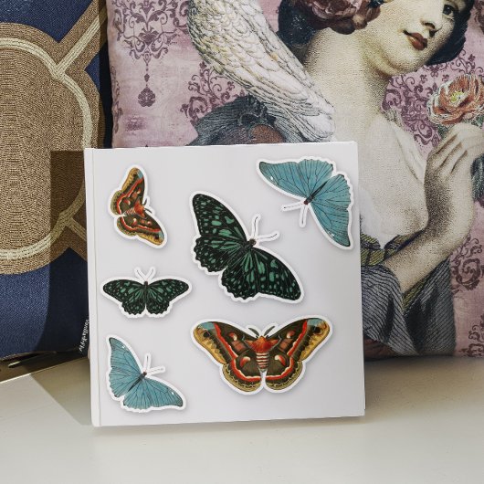 6 stuks Vintage kleurrijke vlinder mooie Contour Sticker