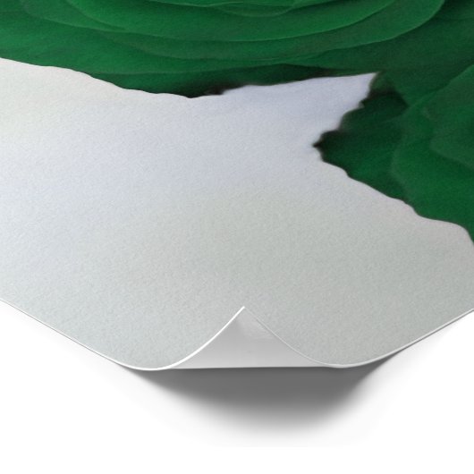 6 tafel Elegant Smaragd Groen Roos Zitkaart Poster (Hoek)