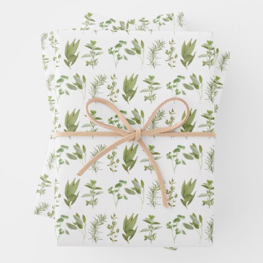 6 VERSE KRUIDEN Vlak Blad Verpakkend Document Inpakpapier Vel (In situ)