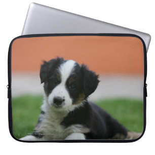 6 weken oude grenscollie laptop sleeve