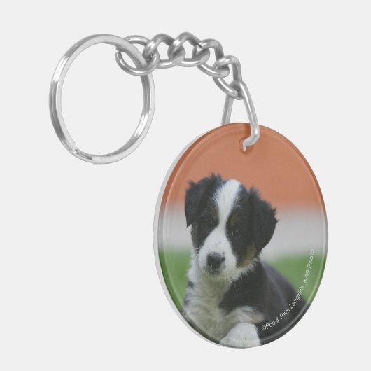 6 weken oude grenscollie sleutelhanger (Voorkant Links)