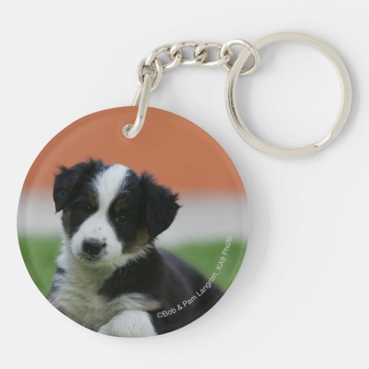 6 weken oude grenscollie sleutelhanger (Achterkant)