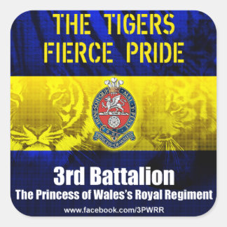 6 x 3PWRR vierkante Stickers