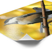 6 x 4 inch, Kodak Professional-fotopapier (Satin) Foto Afdruk (Hoek)