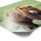 6 x 4 inch, Kodak Professional-fotopapier (Satin) Foto Afdruk (Hoek)