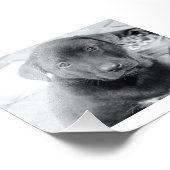 6 x 4 inch, Kodak Professional-fotopapier (Satin) Foto Afdruk (Hoek)