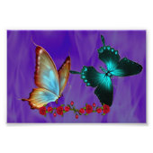 6 x 4 inch, Kodak Professional-fotopapier (Satin) Foto Afdruk (Voorkant)