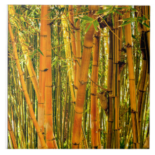 6 x 6 Bamboe keramische kunststapel Tegeltje